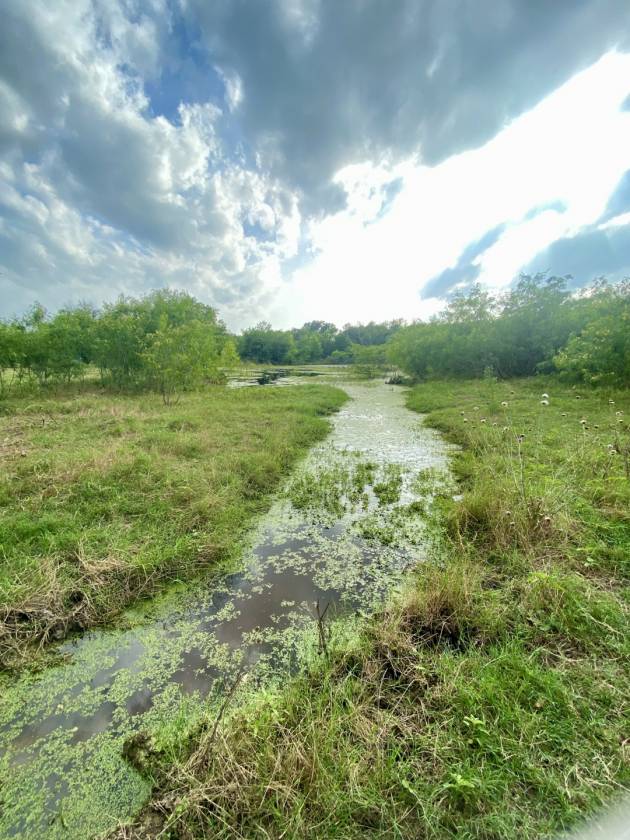 Horse Property for sale.