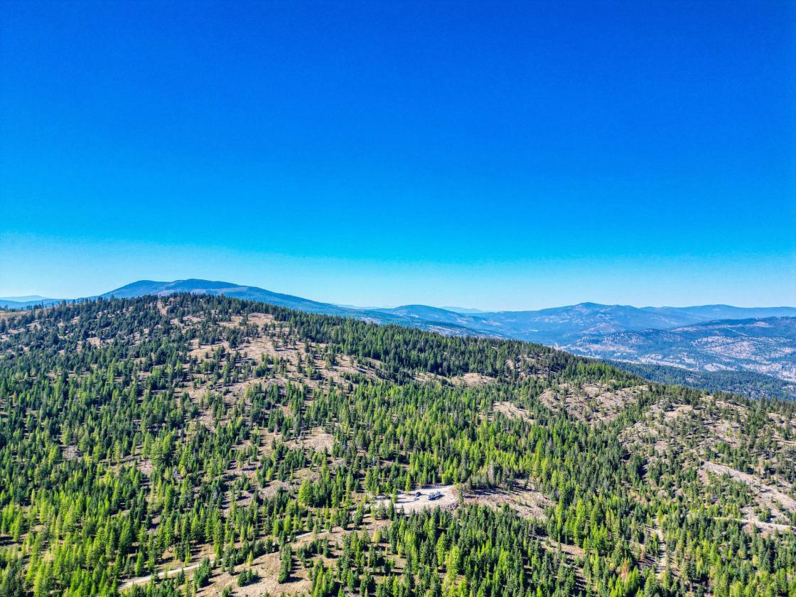 350 Acres & Private Access to MT Forest Service - photo 14