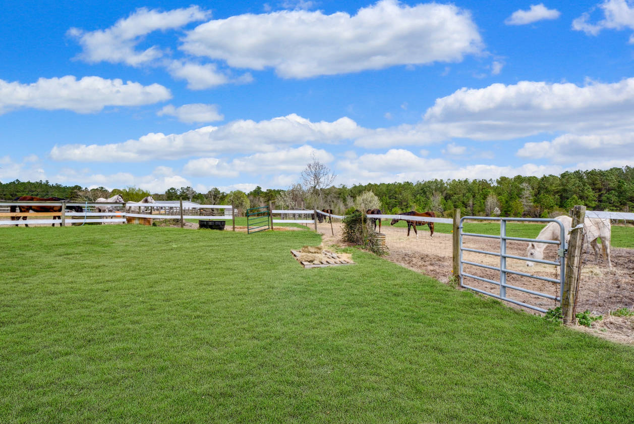 Over 25 ACRE Horse Farm in Eastern NC! Two 11Stall... Richlands
