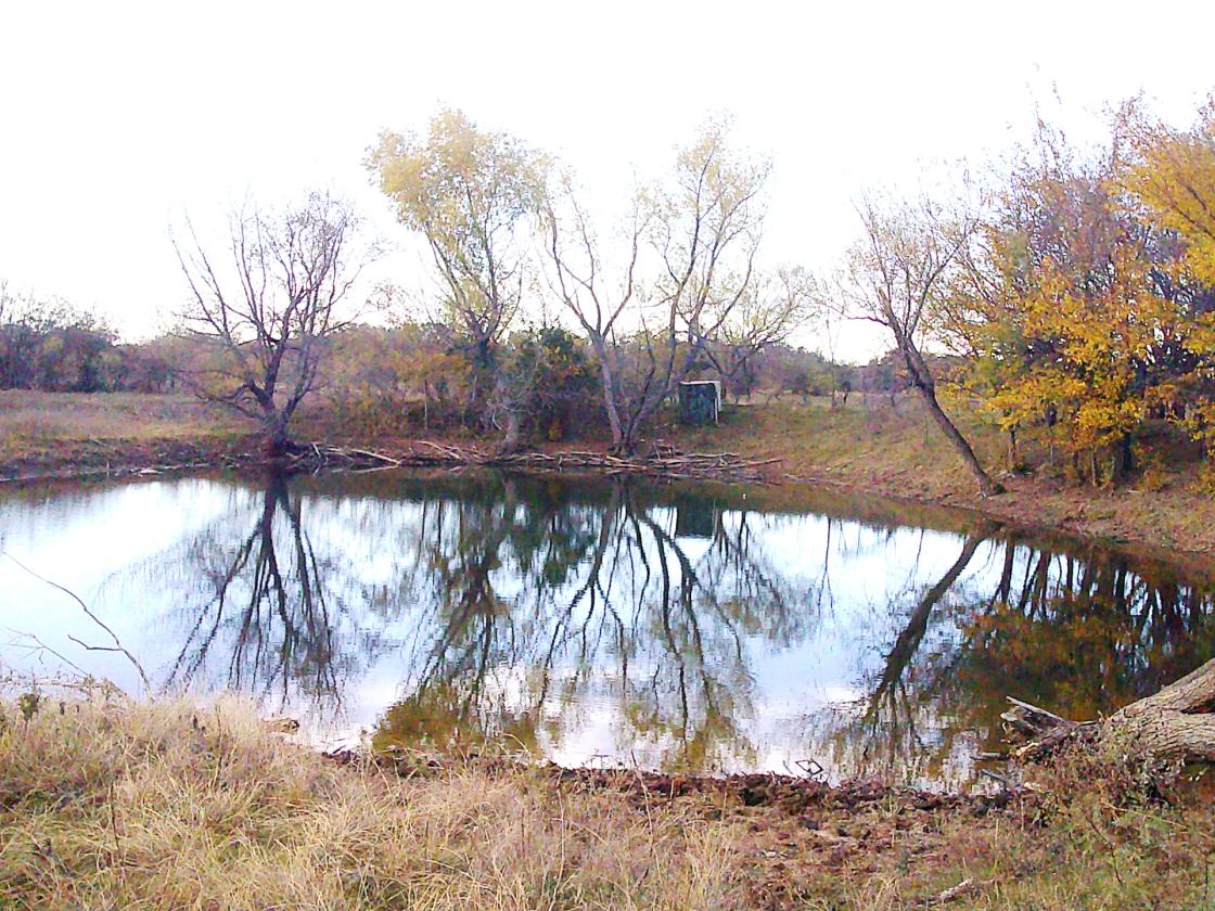 Horse Pasture With ponds - photo 5
