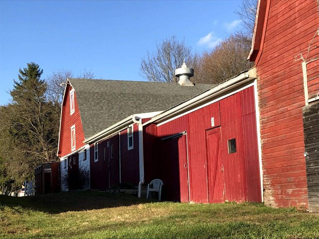 House with Horse Stables and Riding Arena in Binghamton NY