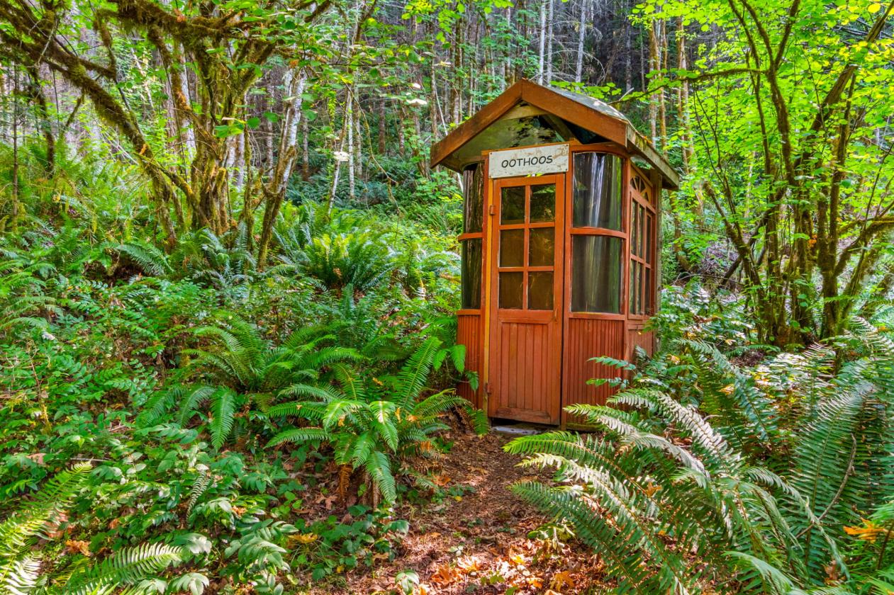 Pacific NW Secluded 75 Acre Homestead Ranch - photo 18