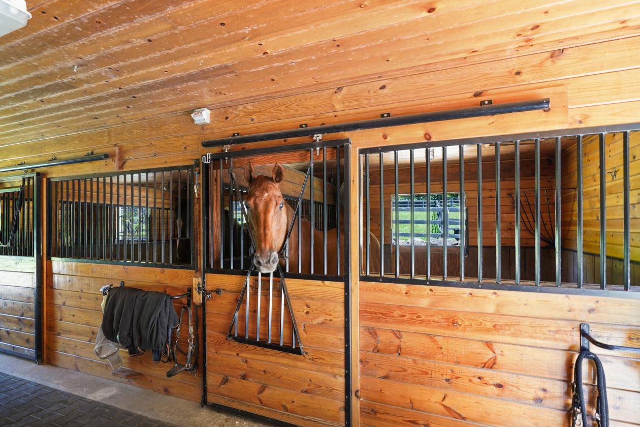 Meadow Ridge Farm - Luxury Horse Property - photo 26