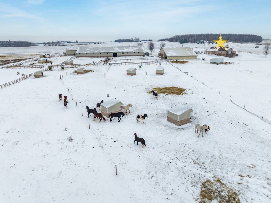 Horse Property for sale.