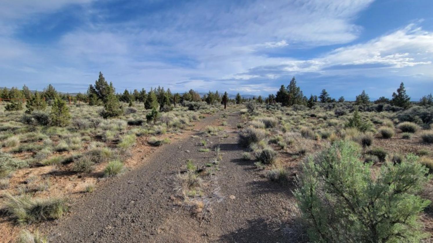 9.8 Buildable acres / Cross fenced - photo 10