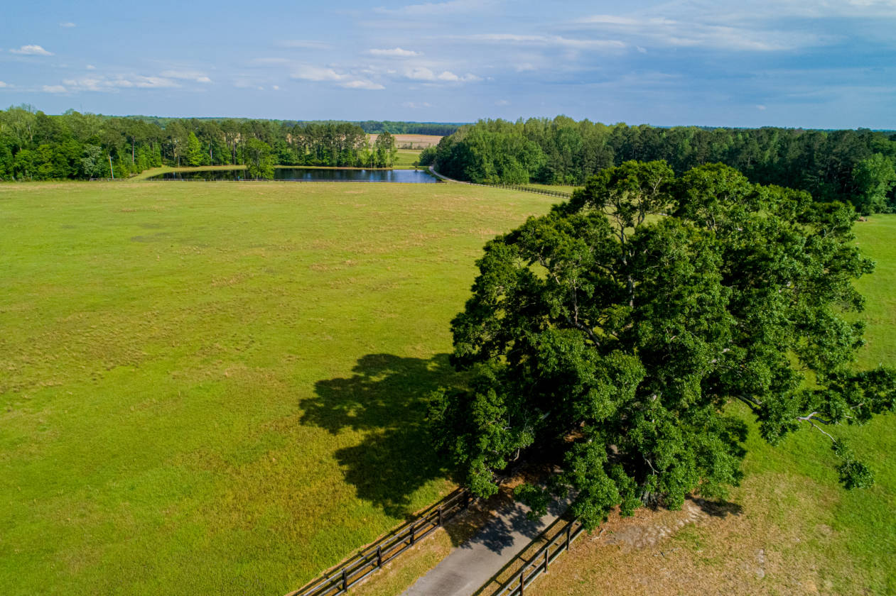 Farm with 85 Acres! Claxton, Evans County,