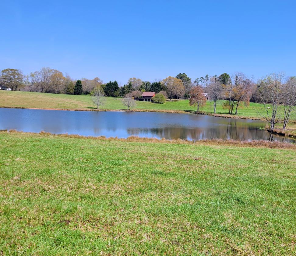 27.5 acre horse/cattle farm with paddocks and pond - photo 2