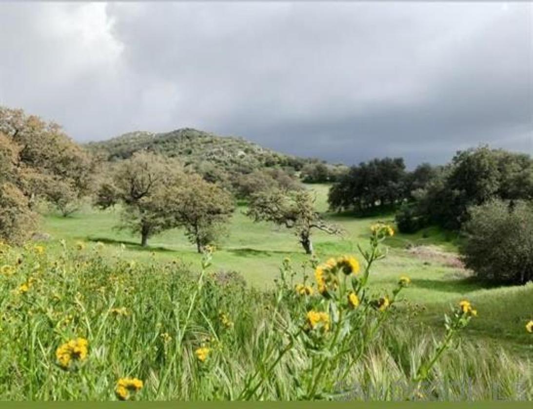 Rancho Alegria - photo 6