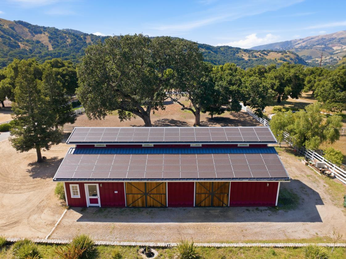 5 Acre Estate in the heart of Carmel Valley - photo 4