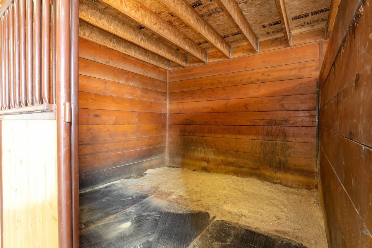 Amazing Equestrian and Orchard Property - photo 16