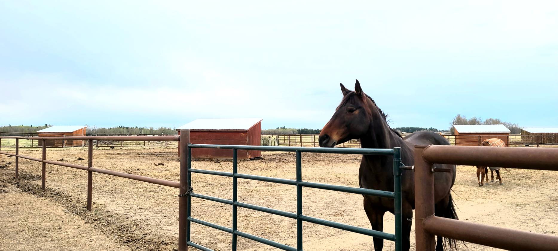 100 x250 ft Steel Engineered INDOOR ARENA, 138.6Ac - photo 17