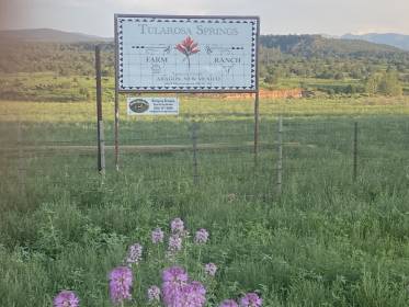 Property image.
