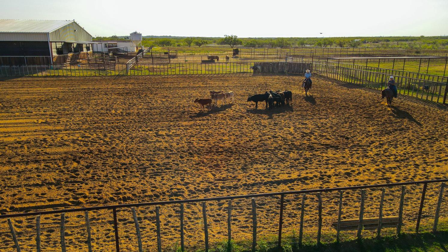 Premiere Cutting Horse Facility in Taylor County - photo 26