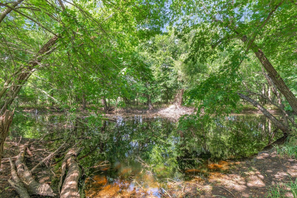 Rare 22.85-Acre Ranch in Rockwall County - photo 26