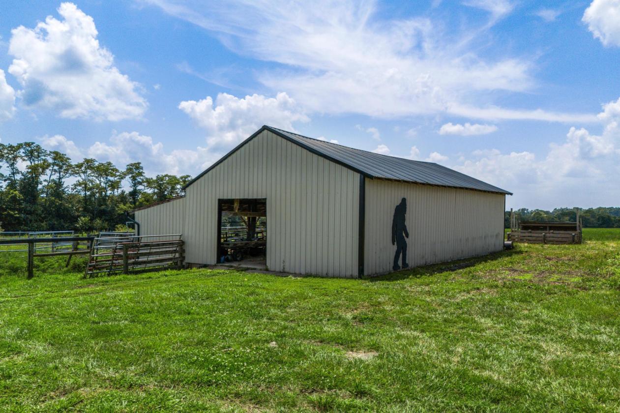 Bring The Horses!  Enjoy this farm on 30.8 acres - photo 7