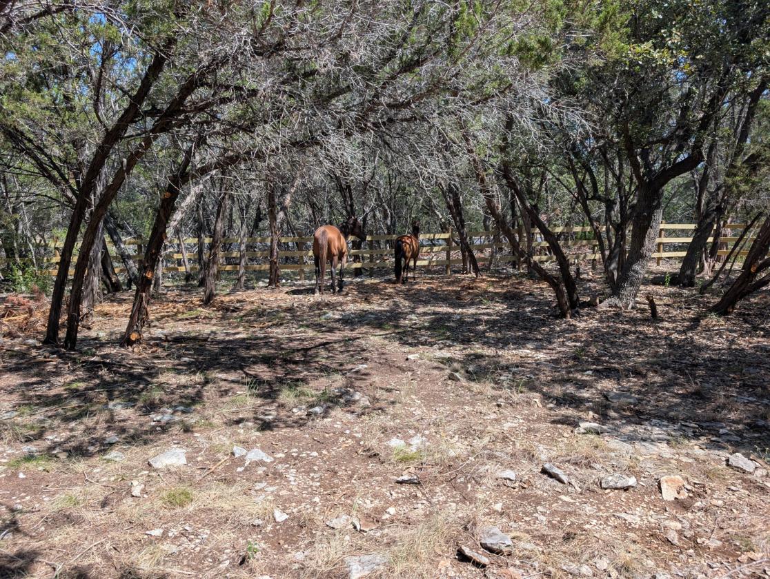 Pasture(s) Land for Lease with Arena Access - photo 1