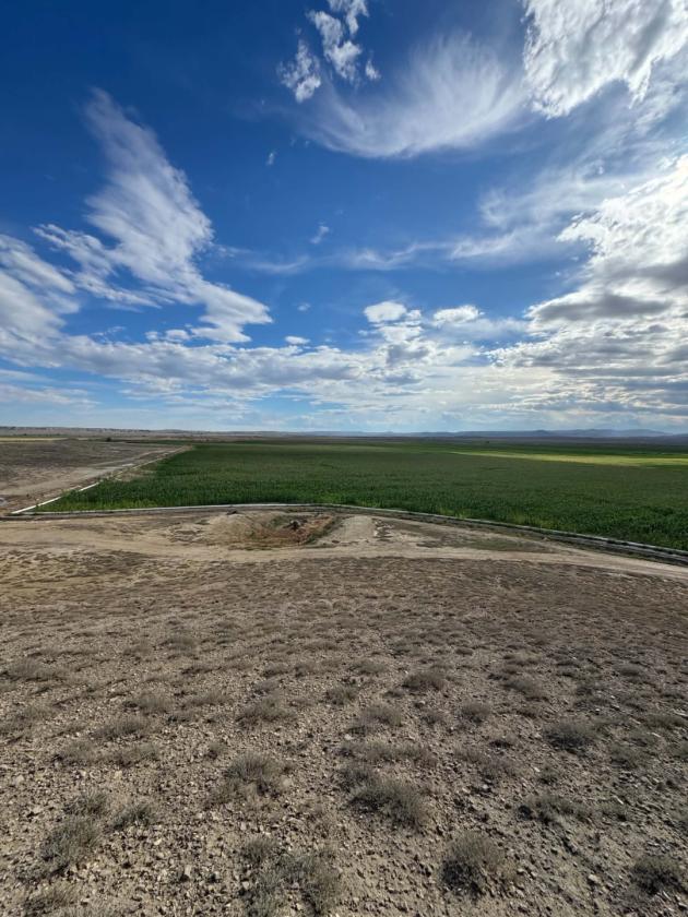 Discover 67± acres of Versatile Land - photo 4