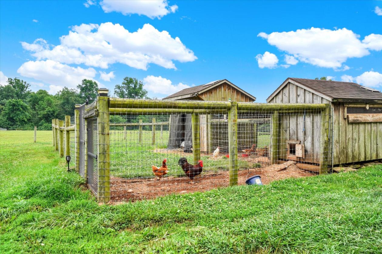 Luxury Equestrian estate on 25+ Acres - photo 13
