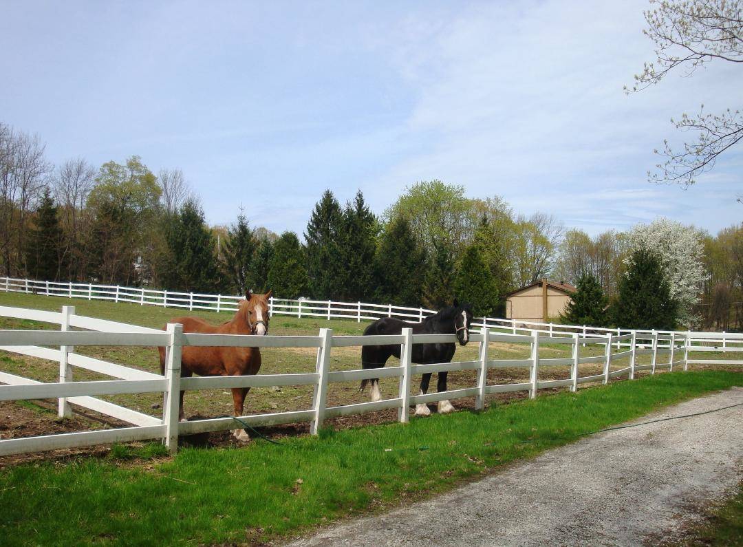 IDYLLIC 9 ACRE HORSE FARM COMPLETE WITH 6 STALL MORTON... Wantage