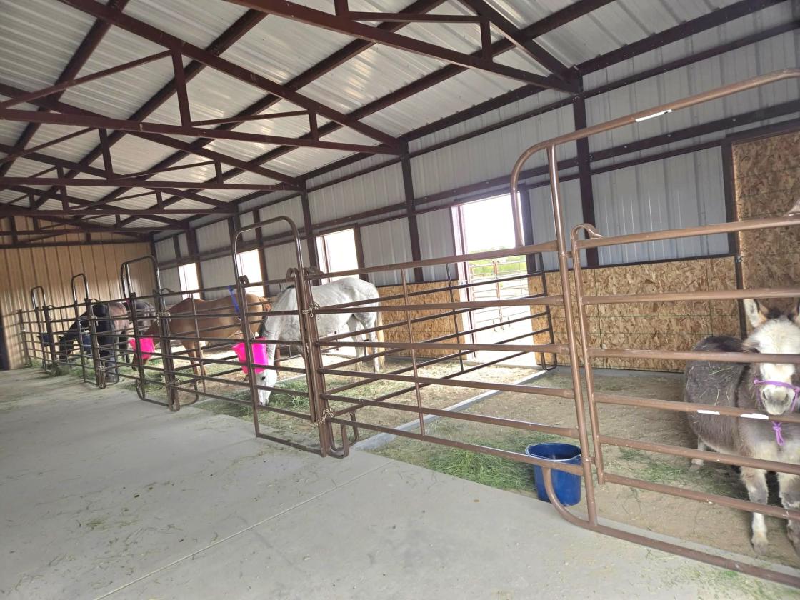 Custom Bardominium Home, New Barn, Indoor Arena! - photo 28