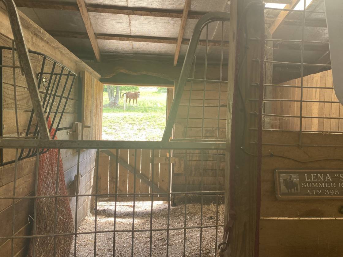16.59 Acre Equestrian Estate - photo 16