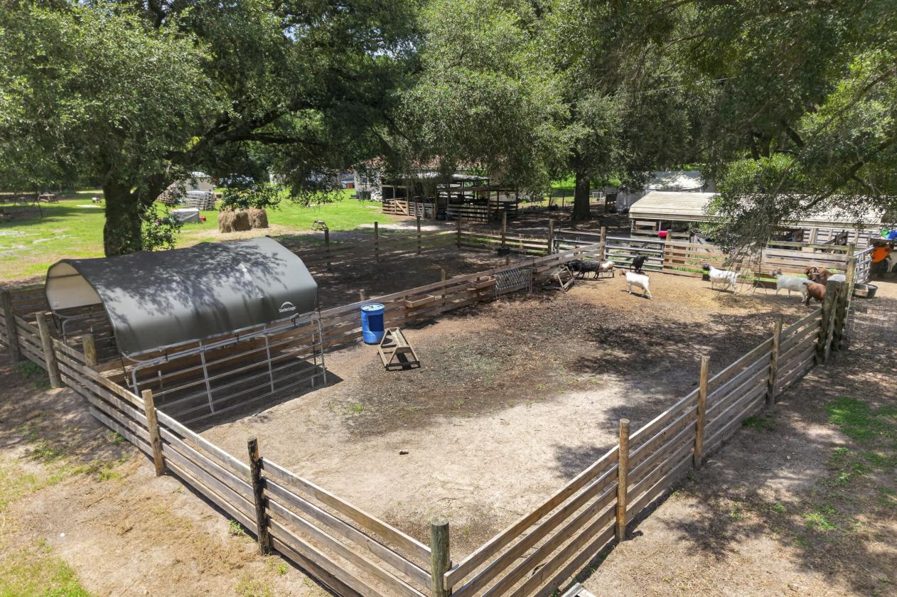 10-acre agricultural property - photo 4