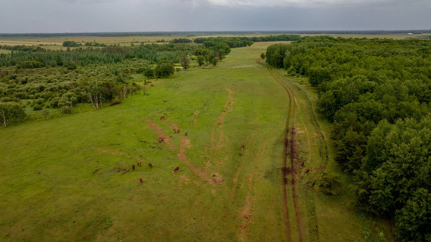 Horse Property for sale.