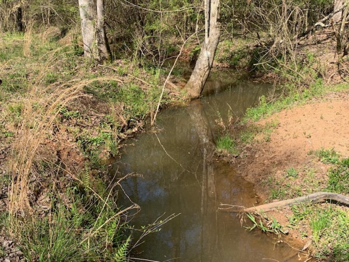 Madison County - Large Estate Farm - photo 22