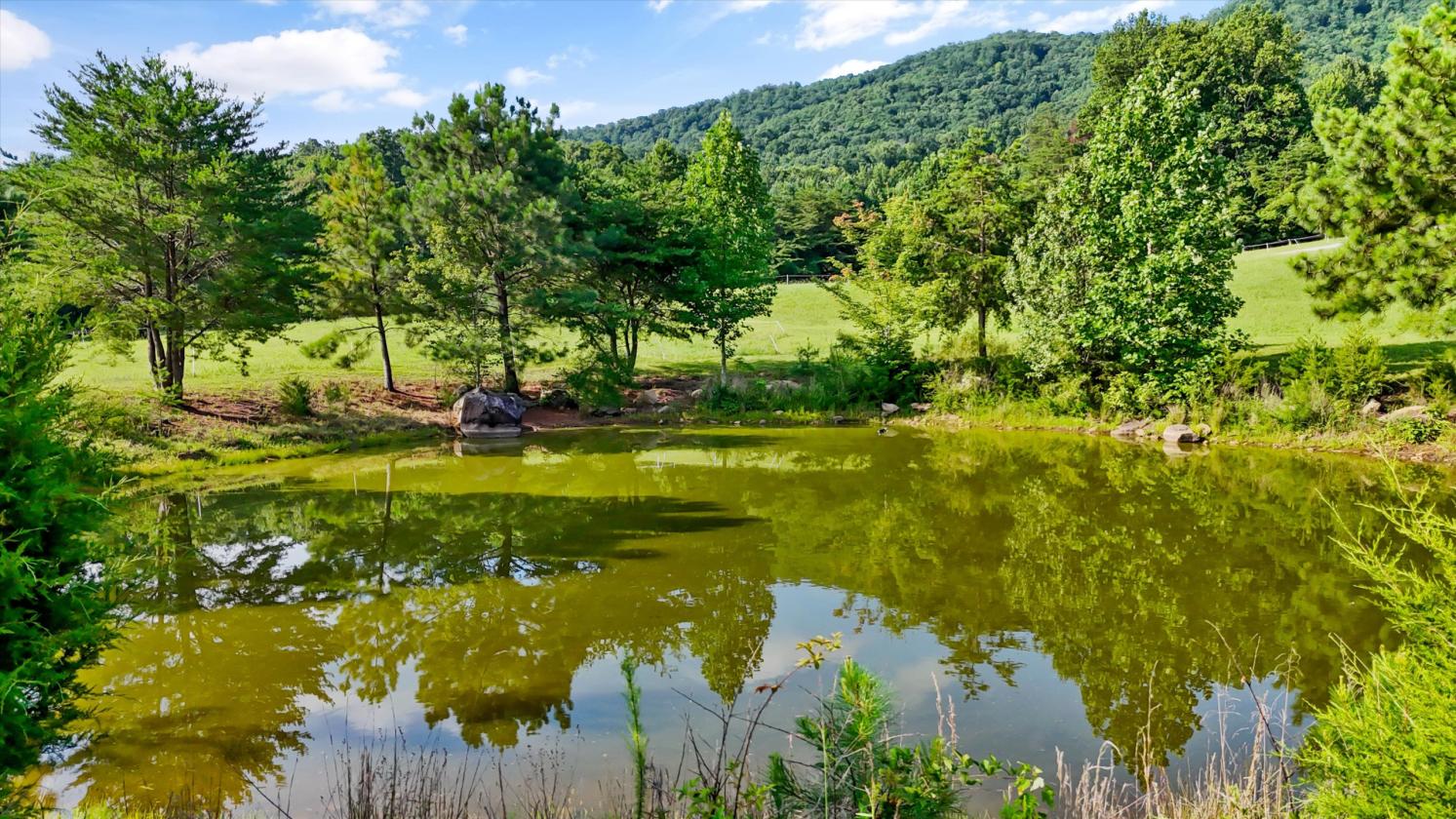 87-Acre Equestrian Farm & Restored Historic Barn - photo 28