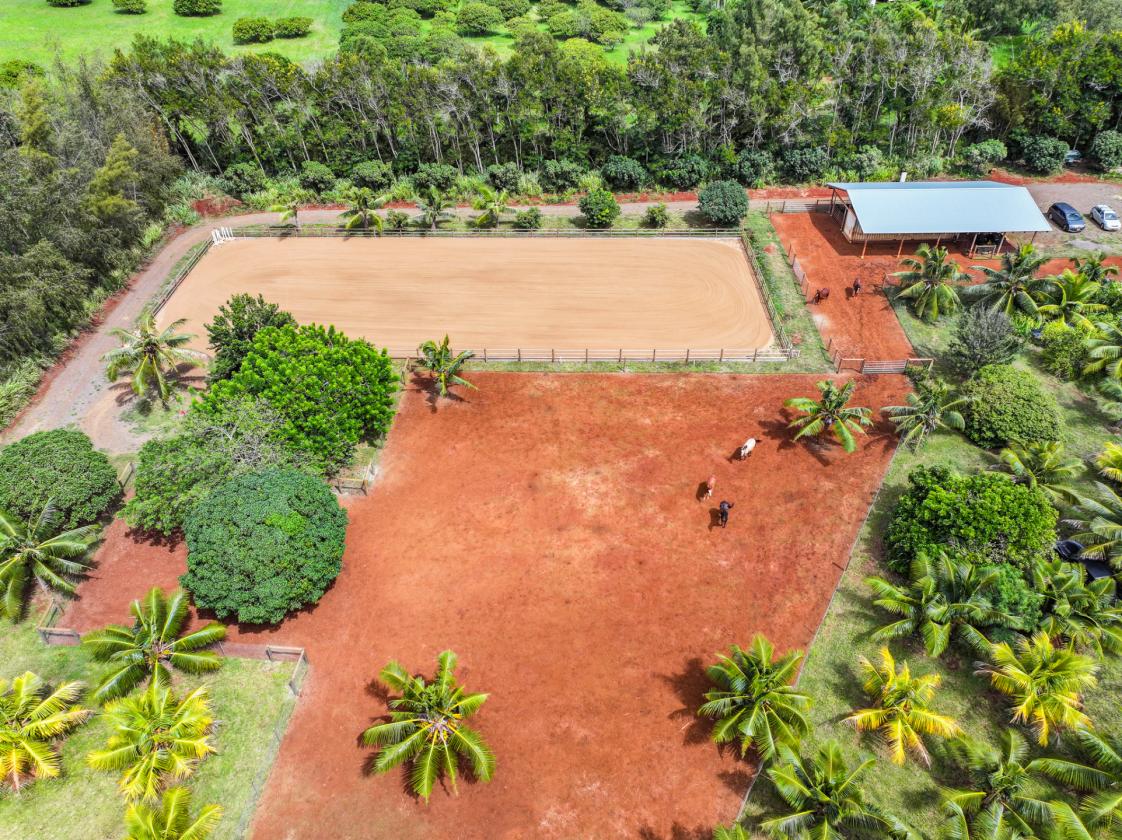 Agricultural & Equestrian Haven in Kauai - photo 2