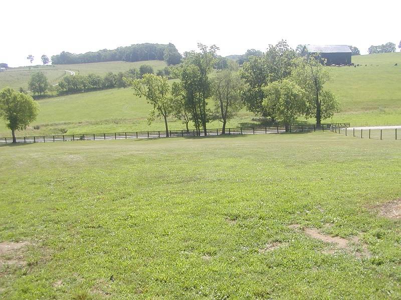 Horse Farm near KY Horse Park and Keeneland REDUCED was... Cynthiana