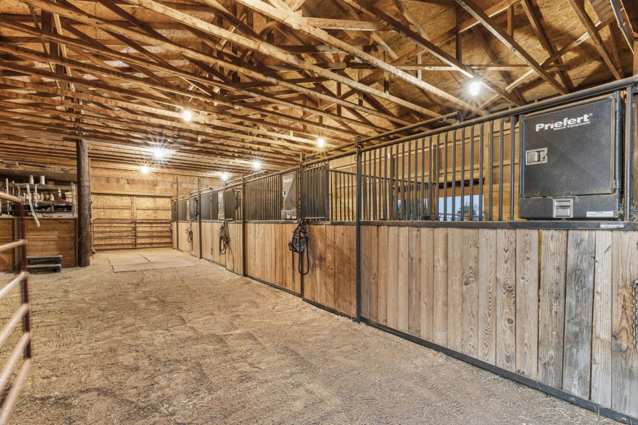 The Hacienda - A Family Horse Centric DREAM - photo 5