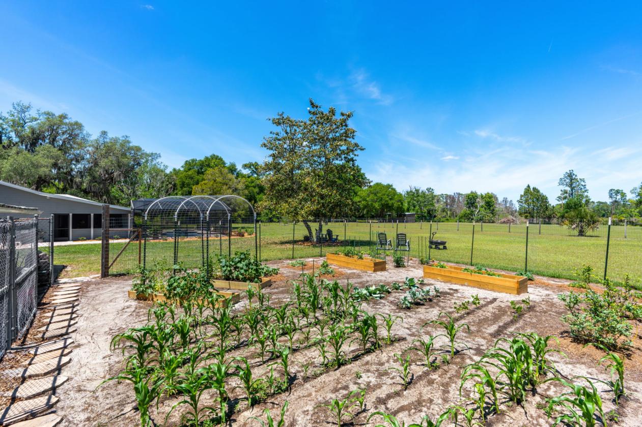 Lakefront Equestrian Estate: Pool, Barn & Pasture - photo 12