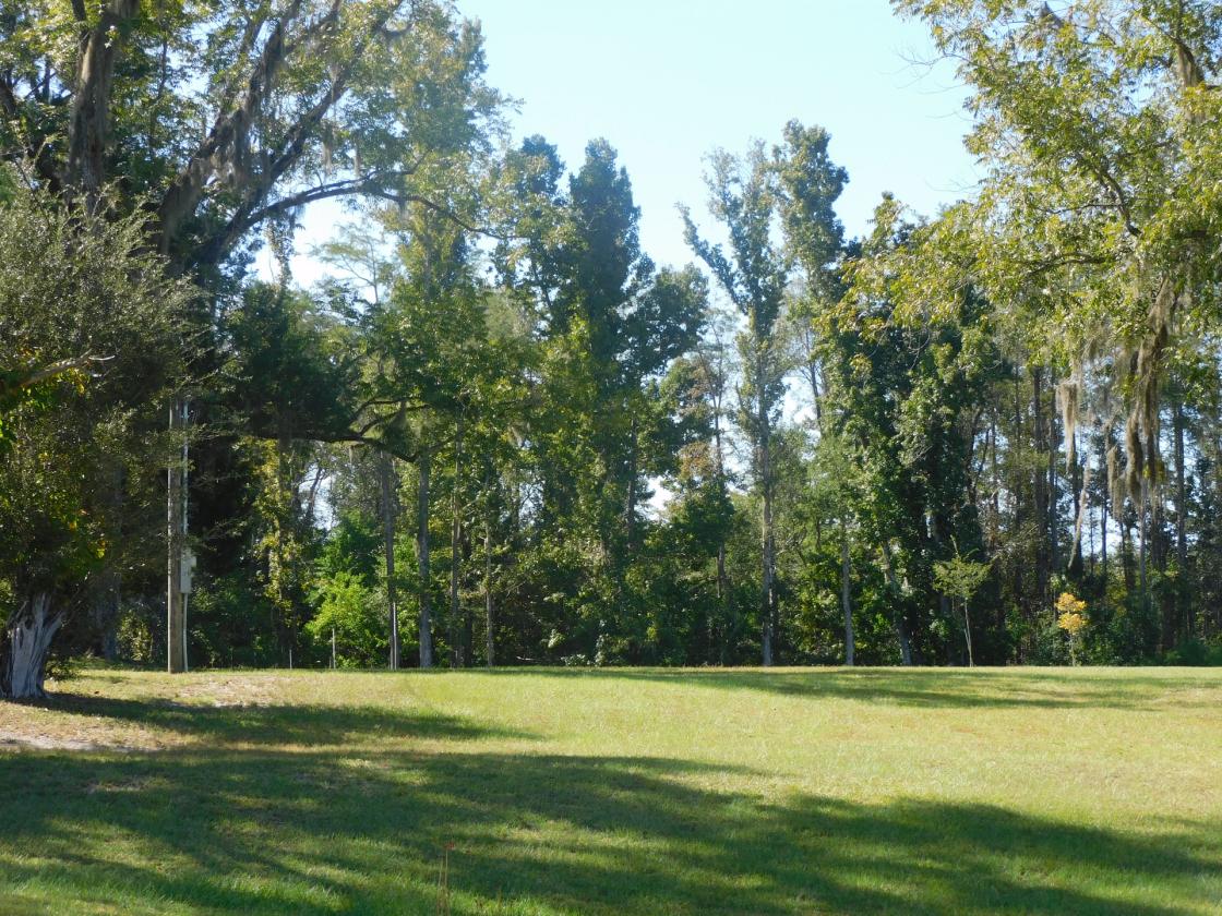 Croom Land - photo 12