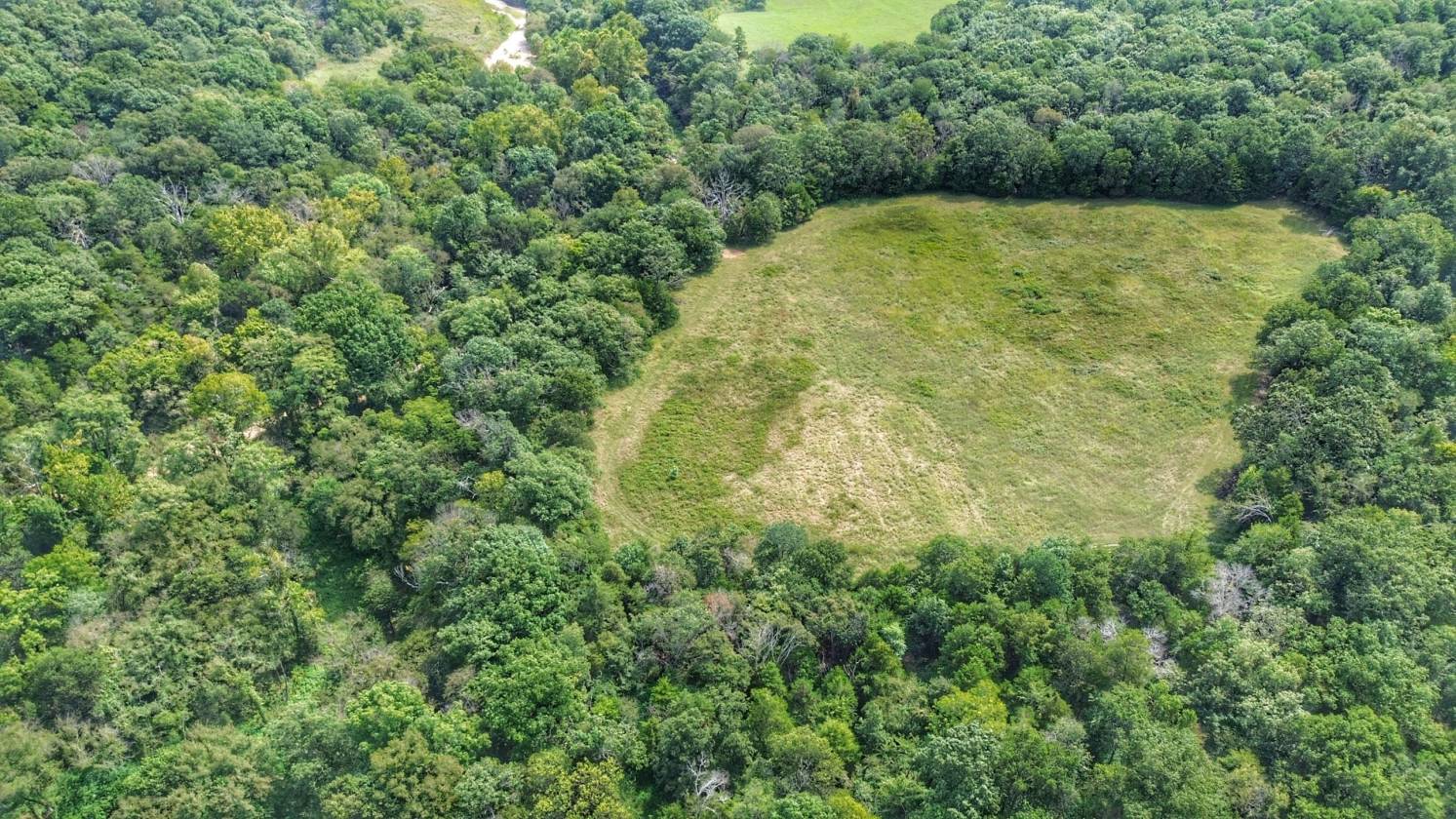 Legacy Northwest Arkansas Acreage - photo 5