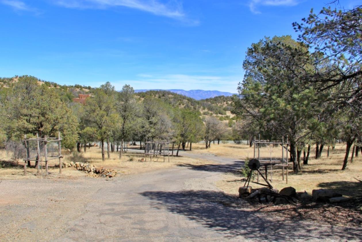 Luxury equestrian property - photo 9