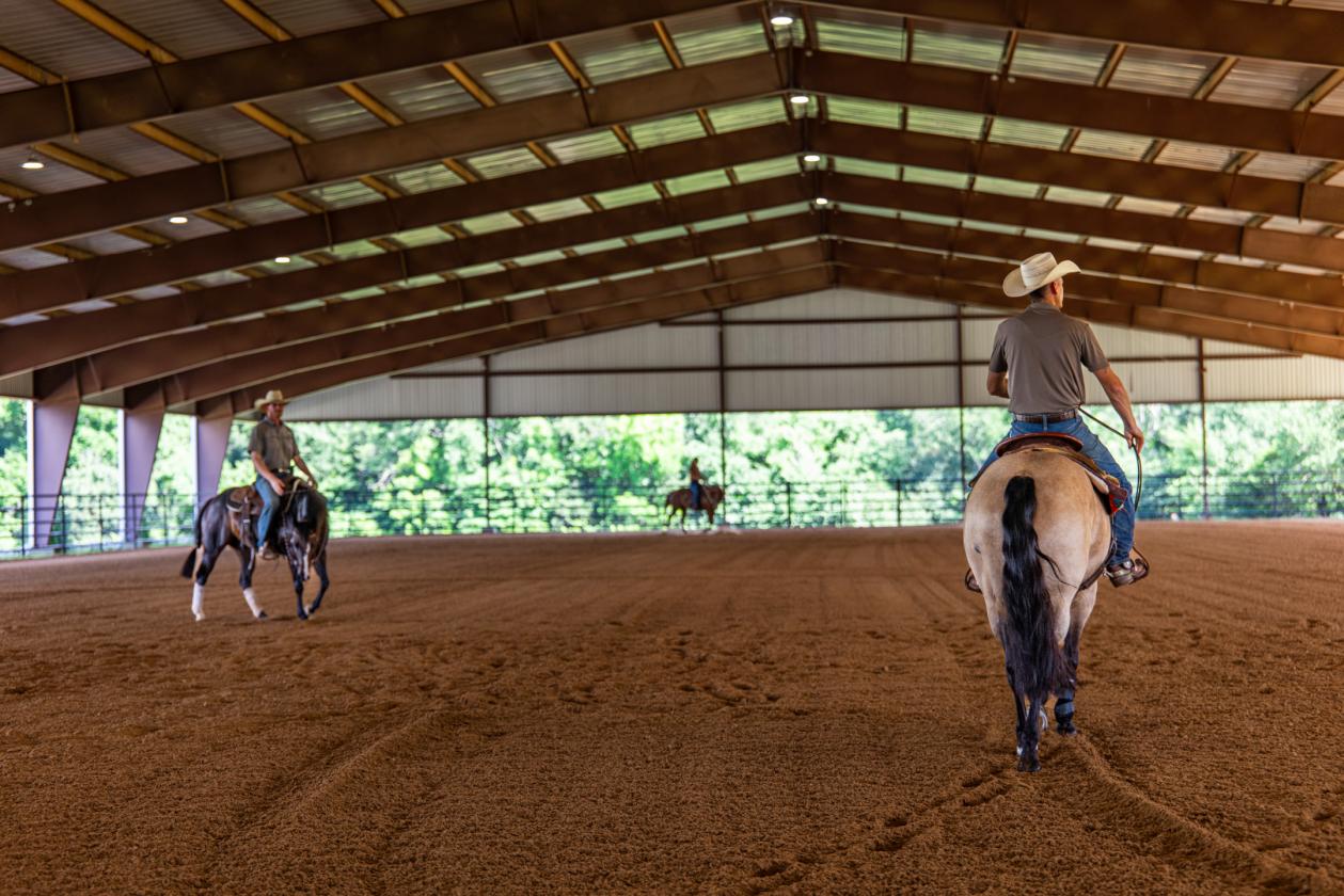 Walnut Creek Horse Ranch - photo 22