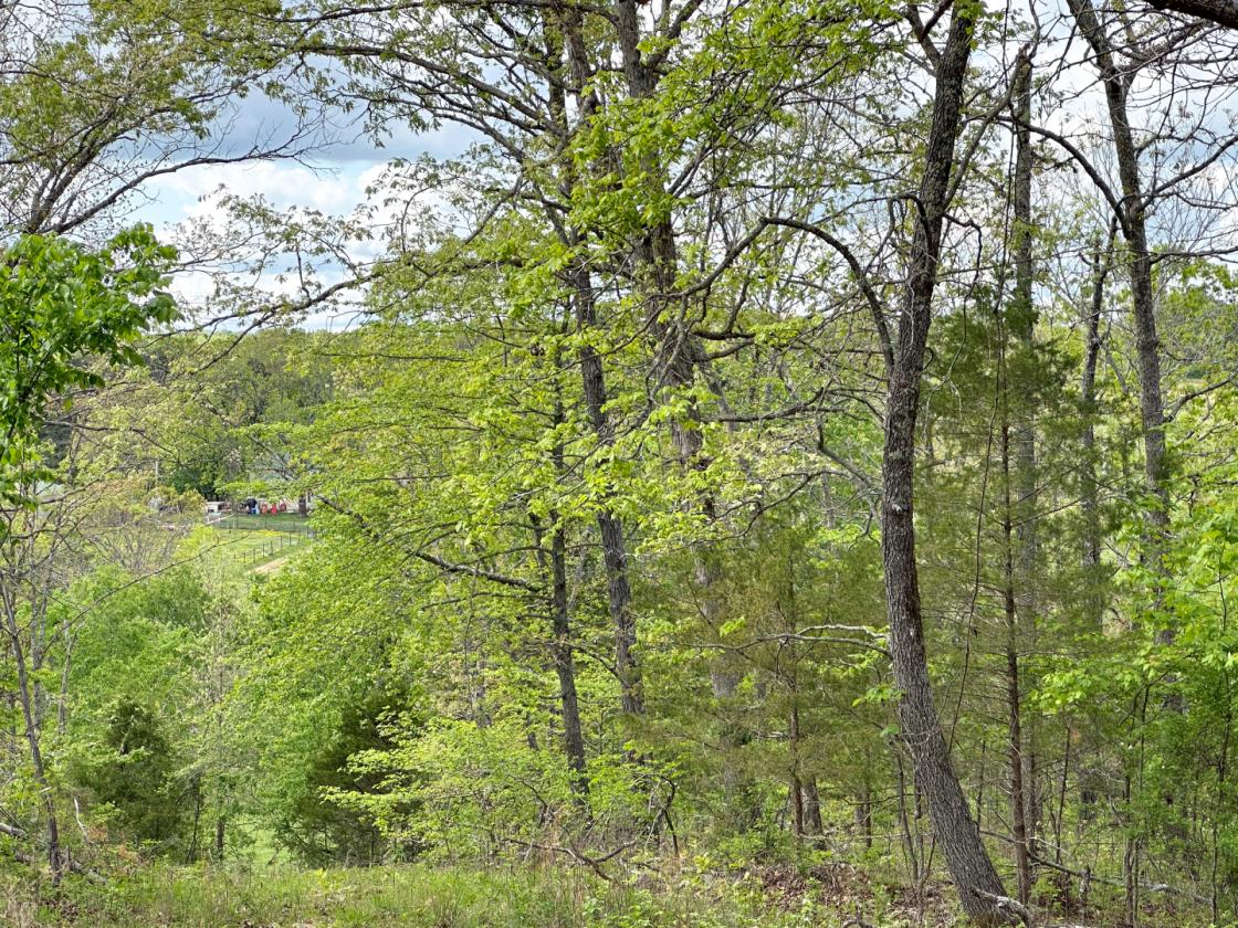 139 Acre Farm - Horse & Livestock Ready - photo 19