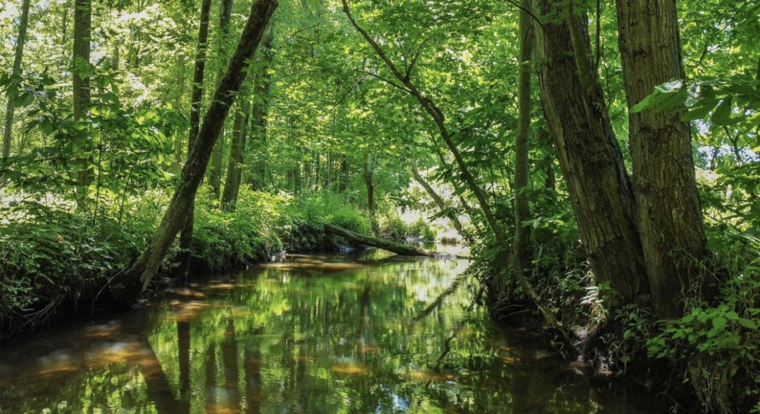 This property features 82 +\- acres - photo 11