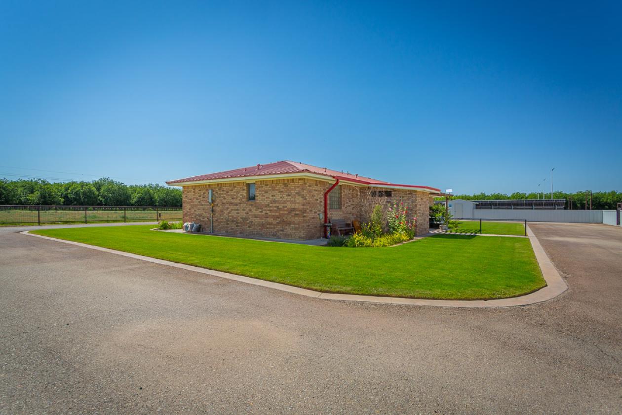 Equine enthusiasts dream property! - photo 5