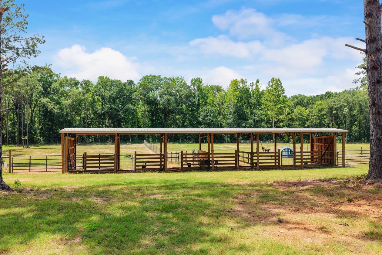 89.99 acre horse farm with lighted arena & more - photo 14