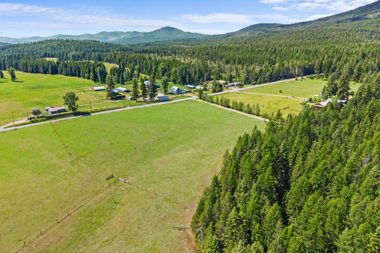Level 20.65 acres w/Creek, Pasture & Woods - photo 12