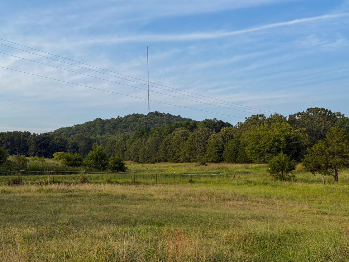 139 Acre Farm - Horse & Livestock Ready - photo 22