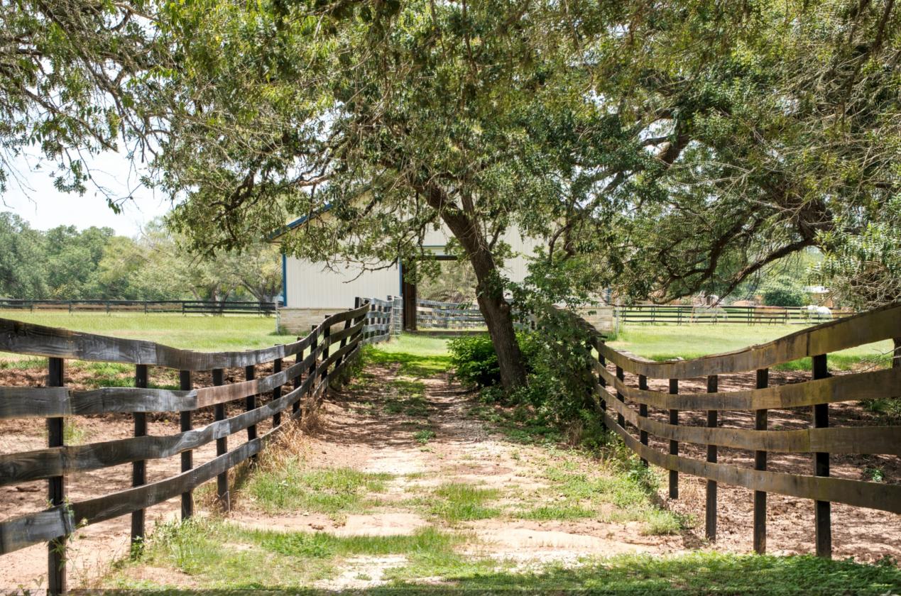76 Ac. Braun Farm - photo 28