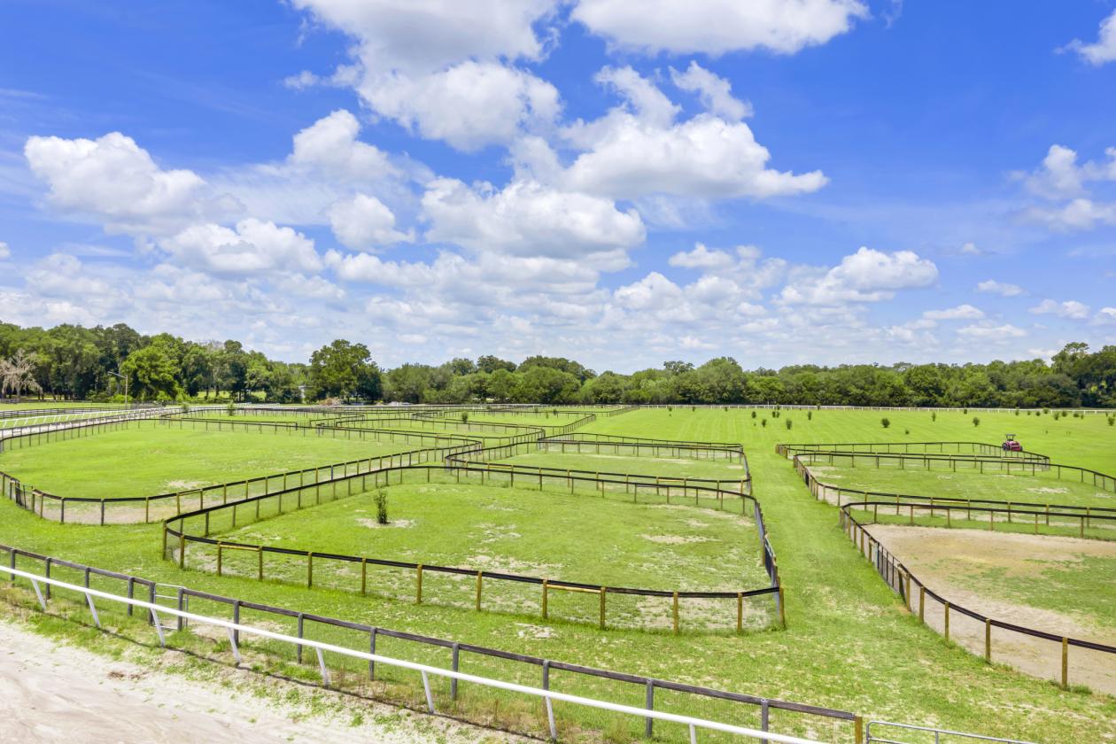 BELLEMONT FARM
YOUR PREMIER TRAINING CENTER - photo 3