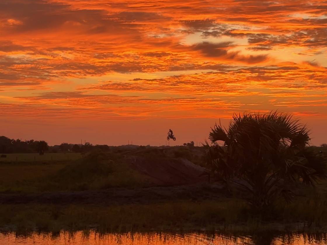 Horse Property for sale.