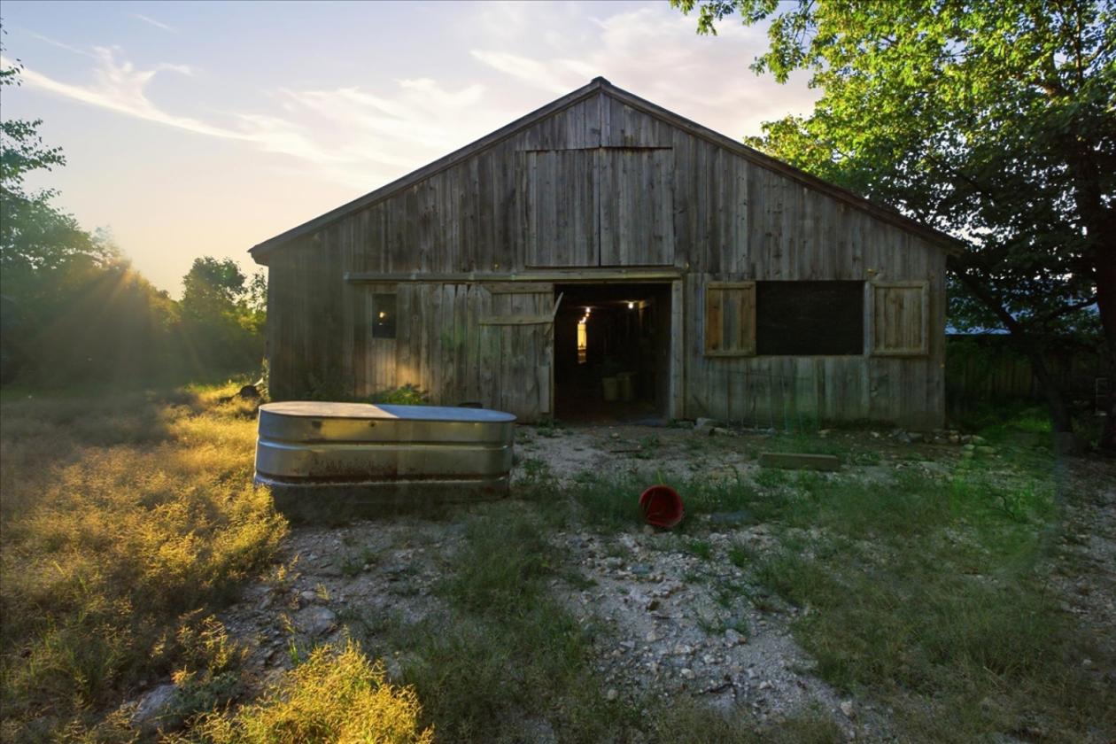 Maine Horse Farm - photo 12