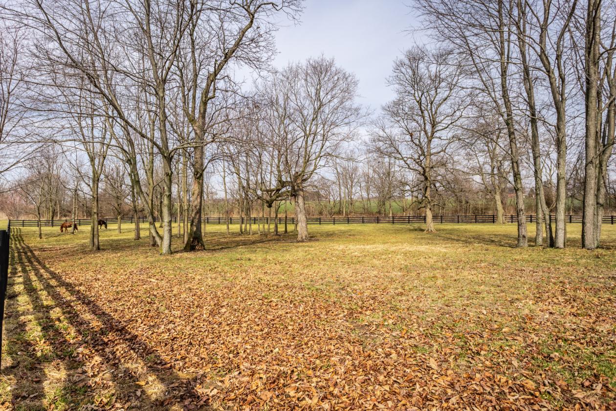 Luxury 28± Acre Equestrian Estate - photo 10