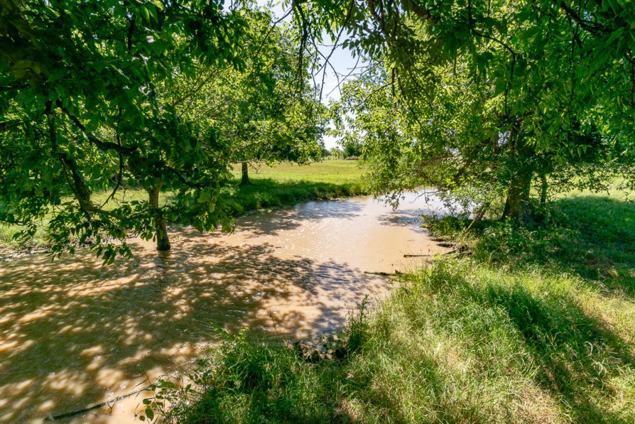 117.5 Acre Horse & Cattle & Rec. Property - photo 20