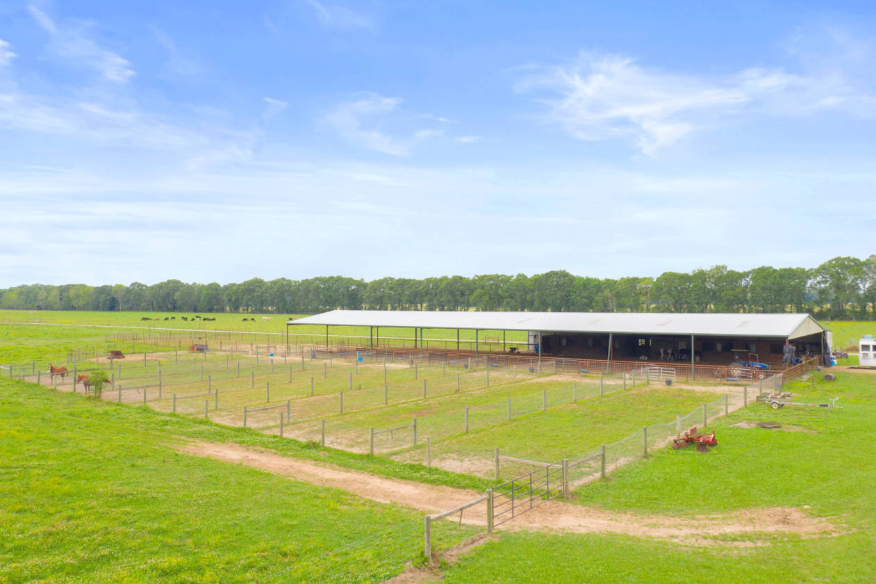 Horse Facilities for sale Opelousas, St Landry Parish County, Louisiana